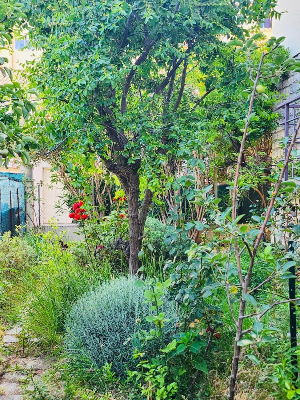 Appartement Paisible Pour 4 Personnes Montpellier Kültér fotó